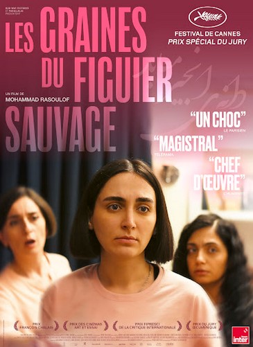 VISUEL Les graines du figuier sauvage